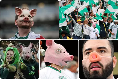 الخنازير في مواجهة الأهلي.. حكاية "إهانة لبنانية" حولها جمهور بالميراس إلى لقب فخري (صور)